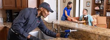 Reliable North Amityville, NY Pest control Solutions